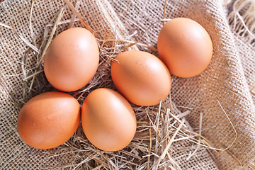 Image showing raw eggs