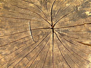 Image showing wood texture