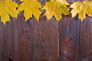 Image showing autumn background