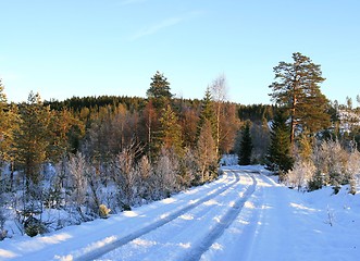 Image showing Winter road