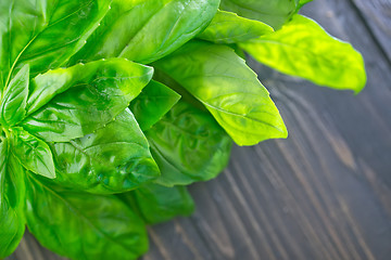 Image showing fresh basil