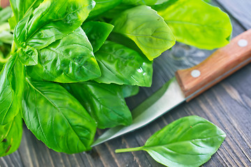 Image showing fresh basil