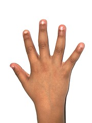 Image showing right hand