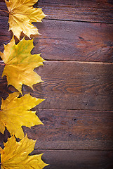 Image showing autumn background