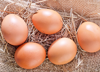 Image showing raw eggs