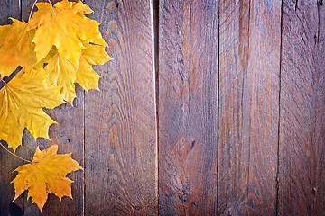 Image showing autumn background