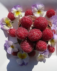 Image showing Pastry with raspberries