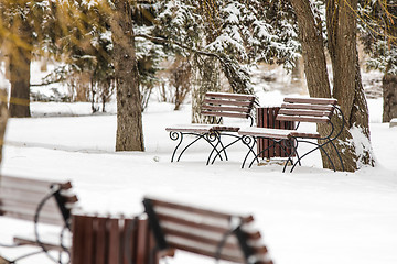 Image showing Winter landscape park with benches in foreground 