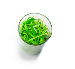 Image showing filling bright green grass isolated