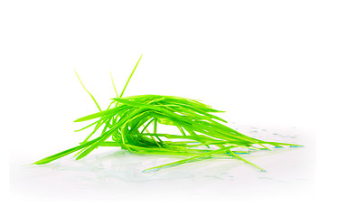 Image showing figure green grass isolated