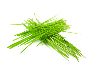 Image showing green grass in bundles isolated on white 