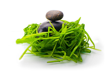 Image showing zen stone in green grass isolated