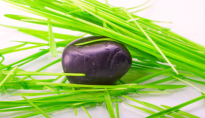 Image showing stone in green grass isolated