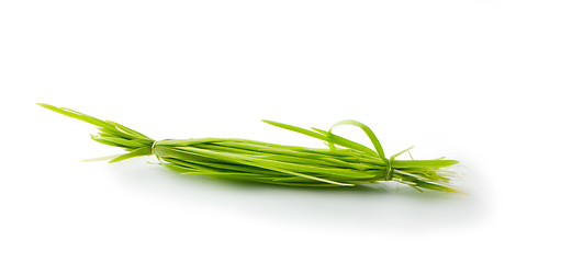 Image showing figure green grass isolated