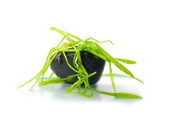 Image showing stone in green grass isolated