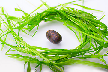 Image showing stone in green grass isolated