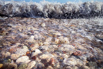 Image showing pebble beach Mediterranean Sea