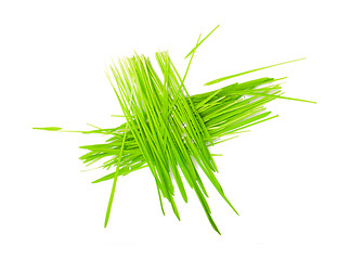 Image showing green grass in bundles isolated on white 