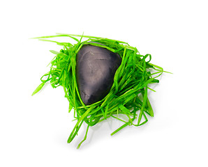 Image showing stone in green grass isolated