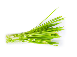 Image showing filling bright green grass isolated