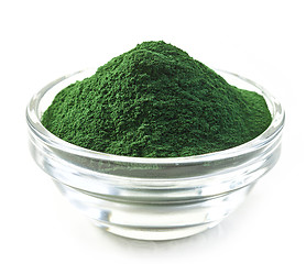 Image showing bowl of spirulina algae powder