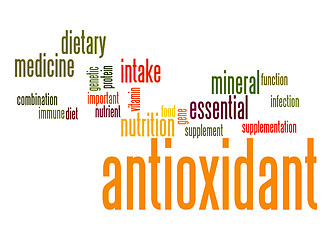 Image showing Antioxidant word cloud