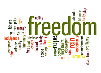 Image showing Freedom word cloud