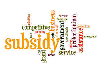 Image showing Subsidy word cloud