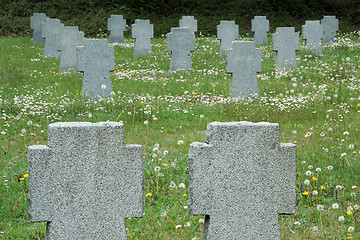 Image showing graveyard