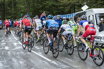 Image showing The Peloton