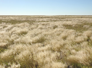 Image showing Makgadikgadi Pan