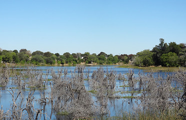 Image showing around Maun in Botswana