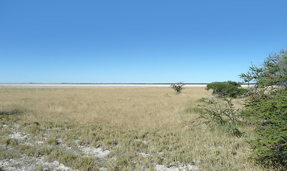 Image showing Makgadikgadi Pan