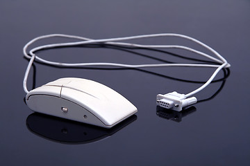 Image showing white mouse