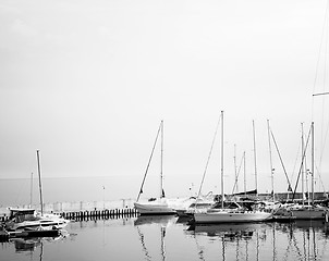 Image showing Sailing boats