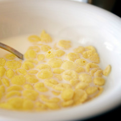 Image showing Milk and cornflakes