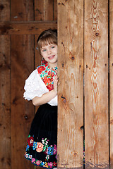 Image showing Posing baby girl in traditional costume