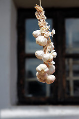 Image showing Garlic bundle