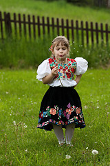 Image showing Folk costumes little girl on the meadow