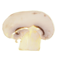 Image showing Champignon mushroom isolated