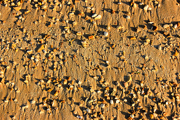 Image showing Beach Pebble Background