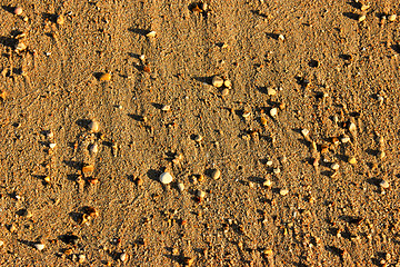 Image showing Beach Pebble  Background