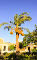 Image showing Arabian traditional  House