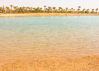 Image showing Beach at sun light. Tropical beach for vacation.