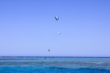 Image showing Parasail