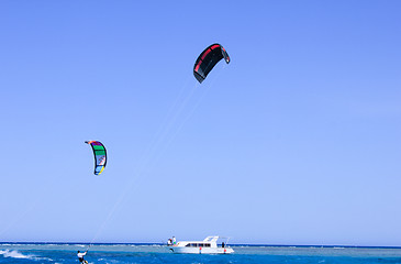 Image showing Parasailing