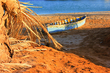 Image showing Wooden Boat and Old Trees