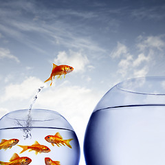 Image showing goldfish jumping out of the water from a crowded bowl 