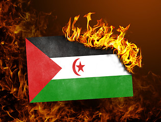 Image showing Flag burning - Western Sahara