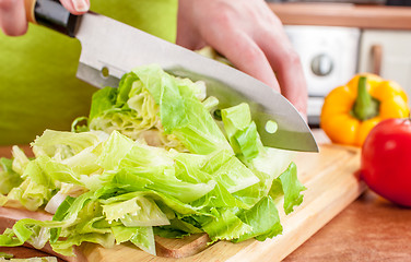 Image showing Woman\'s hands cutting vegetables